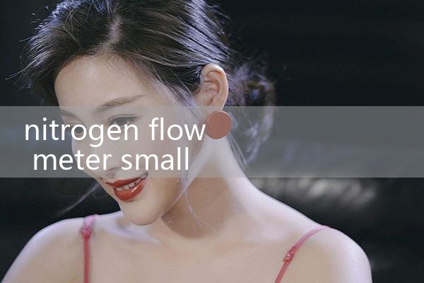 nitrogen flow meter small flow|flow meter distributor