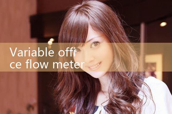 variable orifice flow meter|thermal flow meter