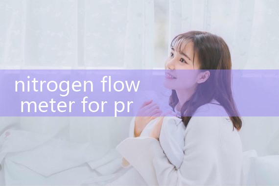 nitrogen flow meter for pressure testing|flow meter distributor