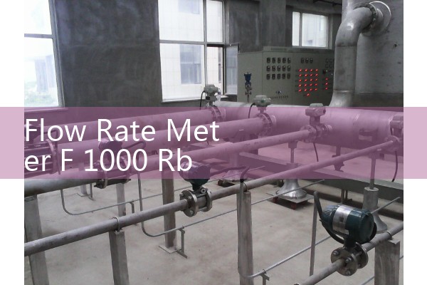 Flow Rate Meter F 1000 Rb Manual: Sizing and Operating Blue-White Commercial Paddlewheel Sensors