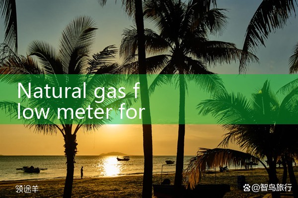 natural gas flow meter for sub metering|balo meter