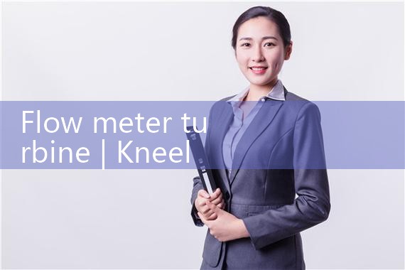 flow meter turbine|thermal flow meter