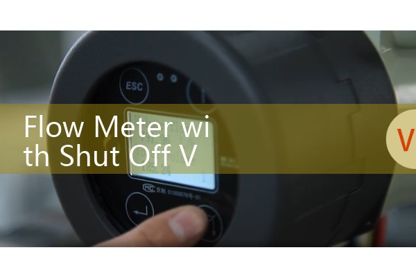 EH mass flowmeter