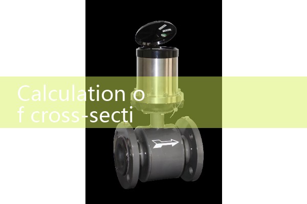 Calculation of cross-sectional passenger flow