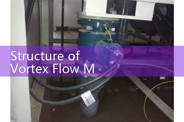 Structure of vortex flowmeter