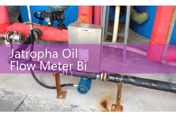 Jatropha Oil Flow Meter Biofuel Plant Intake Layouts