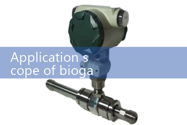 Biogas flowmeter