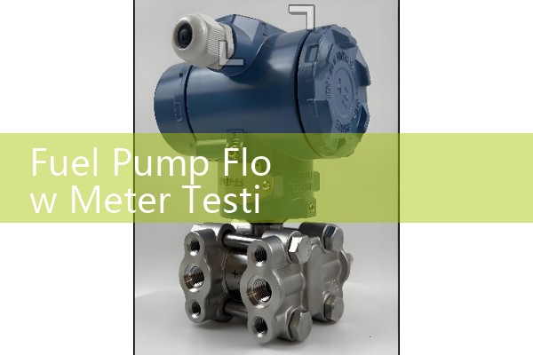 Fuel Pump Flow Meter Testing Benches: Verifying Volumetric Output and Pressure Curves for Vehicles
