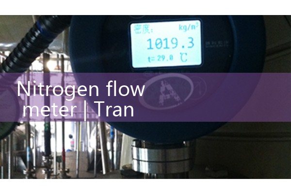 nitrogen flow meter