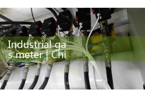 industrial gas meter