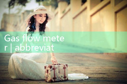 gas flow meter|rotameter flow meter