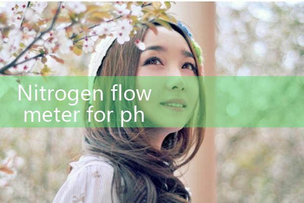 nitrogen flow meter for pharmaceutical|flow meter distributor