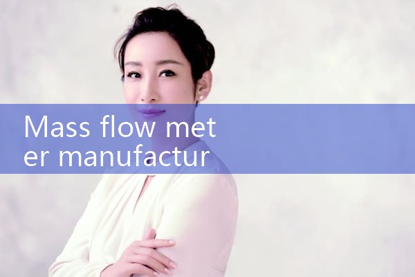 mass flow meter manufacturer|gas flow meter
