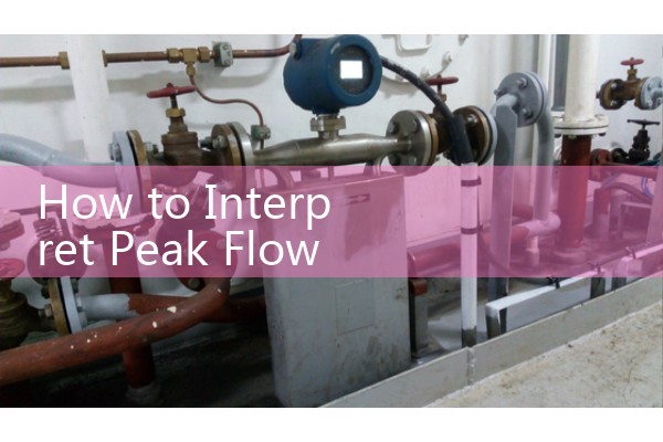 How to Interpret Peak Flow Meter Readings: Matching Personal Best Scores to Action Zones