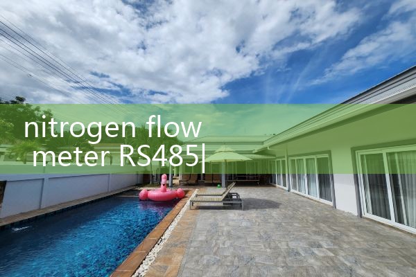 nitrogen flow meter RS485|flow meter distributor