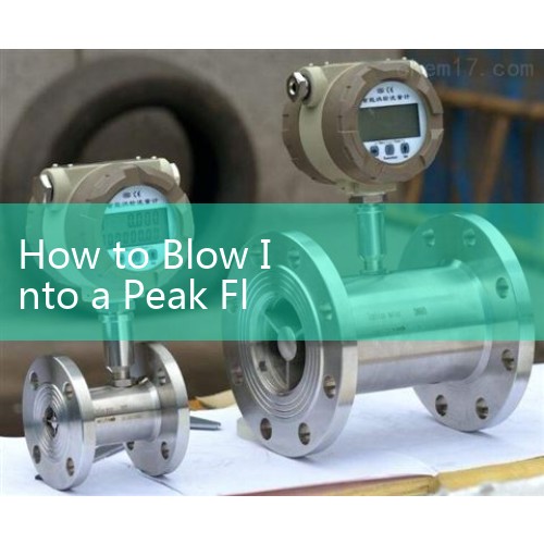 How to Blow Into a Peak Flow Meter: Correct Posture and Exhalation Techniques