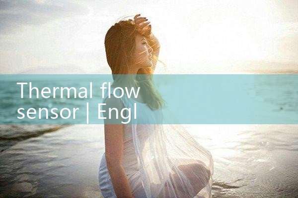 thermal flow sensor|rotameter flow meter