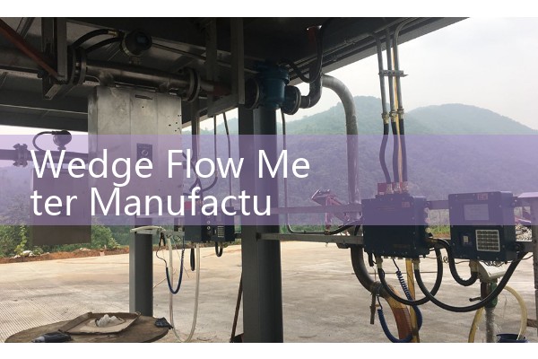 Wedge Flow Meter Manufacturers: Sourcing High-Viscosity Slurry Probes