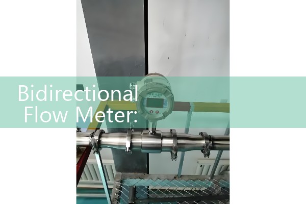 Bidirectional Flow Meter: Monitoring Forward and Reverse Piping Streams