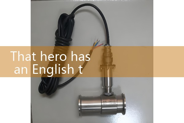 calorimetric flow meter