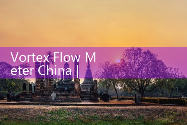 vortex flow meter China|mass flow meter