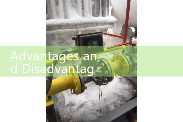 Advantages and Disadvantages of Coriolis Flow Meter: Mass Sensor Sizing Rules