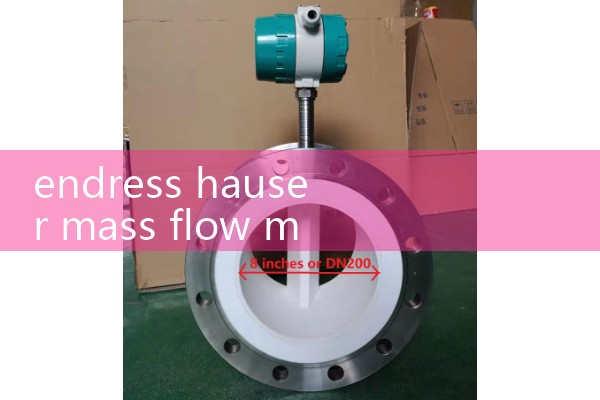 endress hauser mass flow meter
