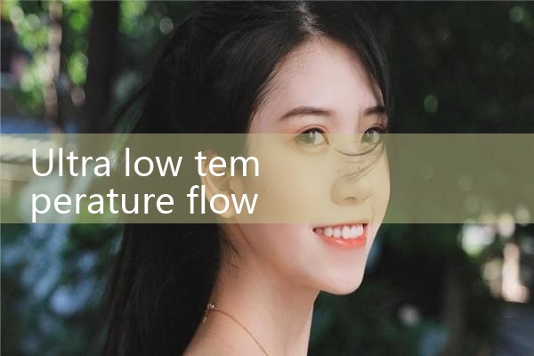 ultra low temperature flow meter|rotameter flow meter