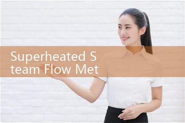 superheated steam flow meter|balo meter