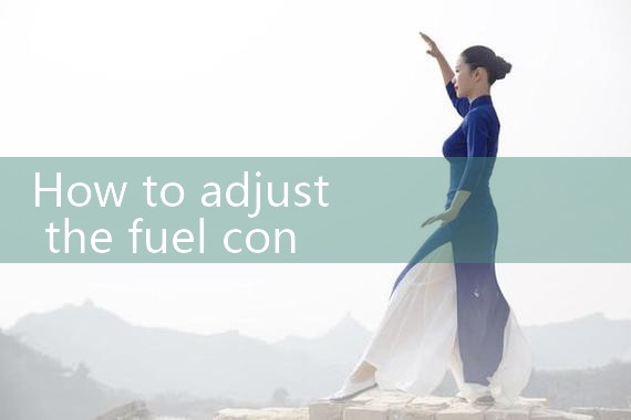 fuel consumption meter|thermal flow meter
