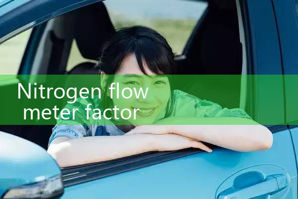 nitrogen flow meter factory|thermal flow meter