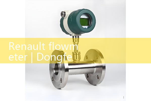 Renault flowmeter