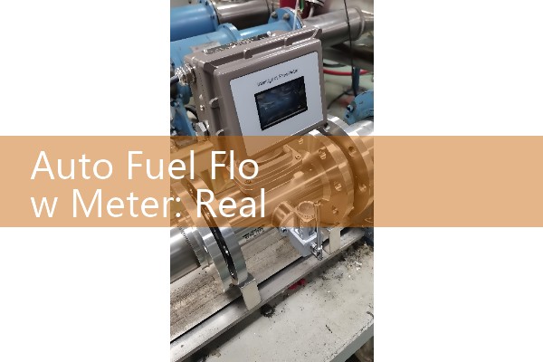 Auto Fuel Flow Meter: Real-Time Engine Consumption Diagnostics Sizing