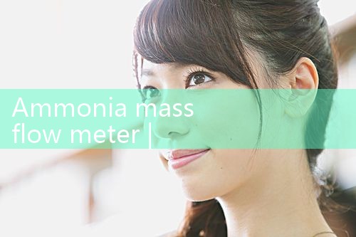 stainless steel water meter|rotameter flow meter