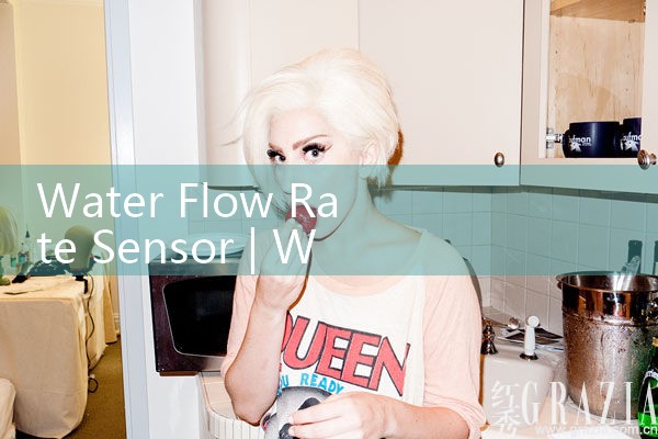 water flow rate sensor|mass flow meter