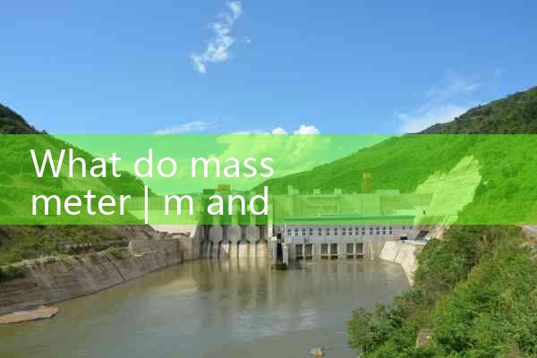 mass meter|thermal flow meter