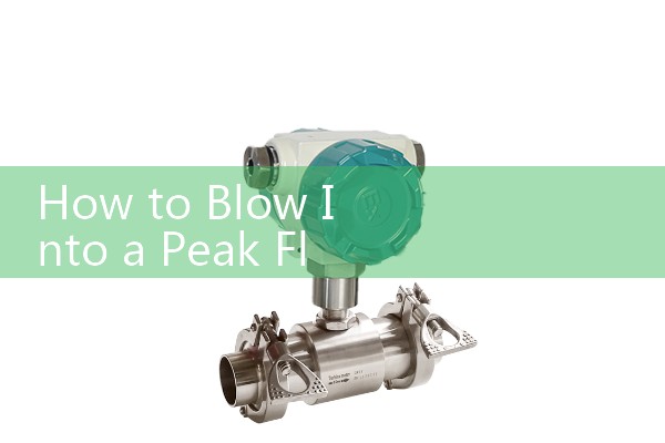 How to Blow Into a Peak Flow Meter: Correct Posture and Exhalation Techniques