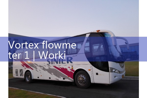 Vortex flowmeter 1