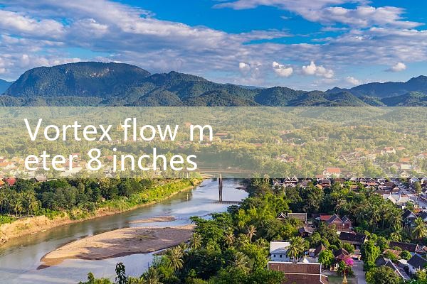 vortex flow meter 8 inch|mass flow meter