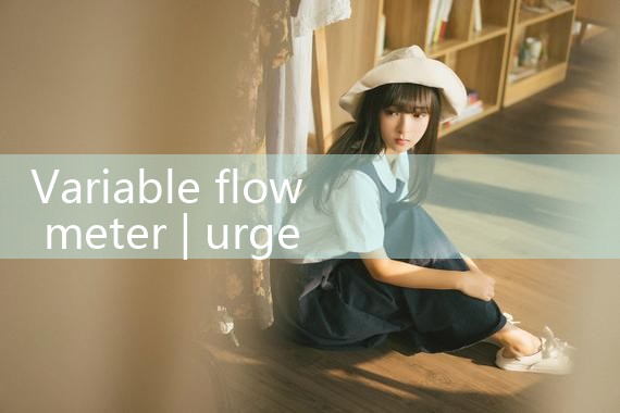 variable flow meter|rotameter flow meter