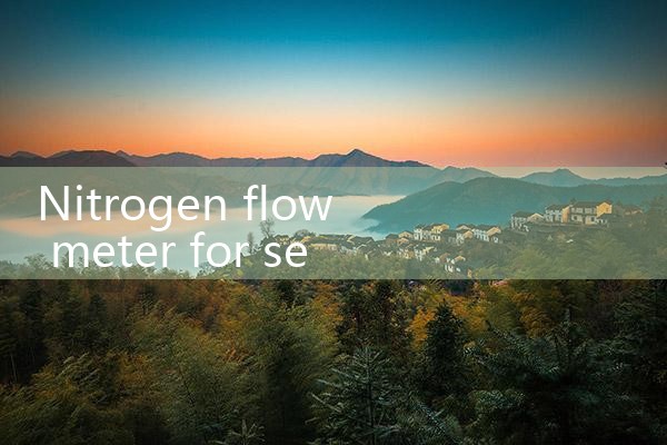 nitrogen flow meter for semiconductor|flow meter distributor