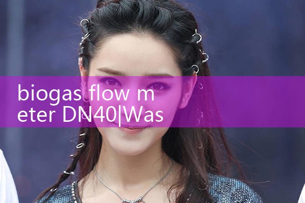 biogas flow meter DN40|flow meter distributor