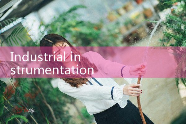 industrial instrumentation company|thermal flow meter