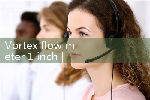vortex flow meter 1 inch|mass flow meter