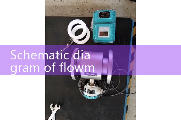Flow meter schematic diagram