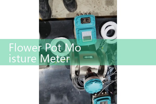 Flower Pot Moisture Meter Setup: Utilizing Smart Digital Indicators to Prevent Root Over-Watering