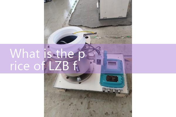 LZB flowmeter