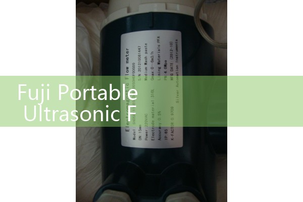 Fuji Portable Ultrasonic Flow Meter Kit: Conducting Quick Plant Surveys and Energy Management Audits