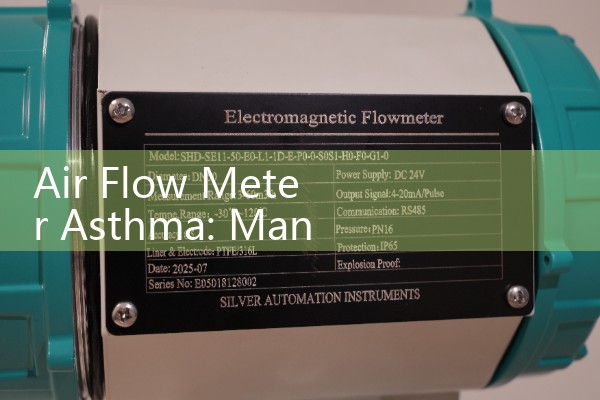 Air Flow Meter Asthma: Managing Daily Expiratory Target Action Zones