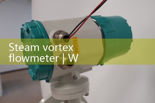 Steam vortex flowmeter